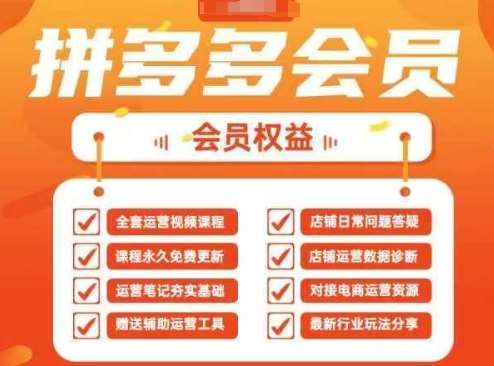 2025拼多多运营实战课，40节全流程教学，覆盖拼多多运营全链路-云商网创