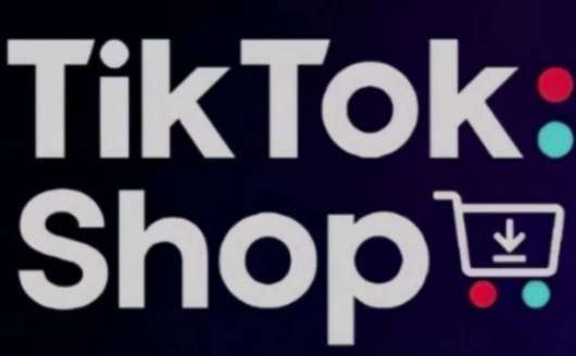 TikTokShop跨境电商0-1实战，手把手教你低成本启动海外市场-云商网创