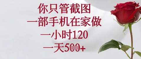 你只管截图，一部手机在家做，苹果安卓都可以，一小时120，一天5张+【揭秘】-云商网创