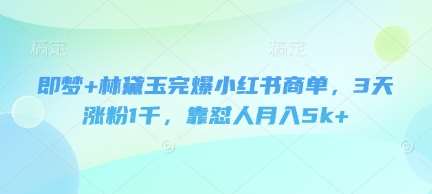 即梦+林黛玉完爆小红书商单，3天涨粉1千，靠怼人月入5k+-云商网创