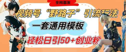 视频号“野路子”玩法，评论区疯狂截流，一套模板单日单号引流50+创业粉-云商网创