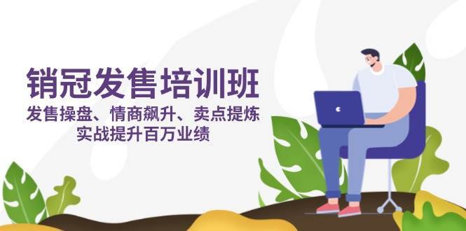 销冠发售培训班：发售 操盘+情商 飙升+卖点 提炼，实战提升百万业绩-云商网创