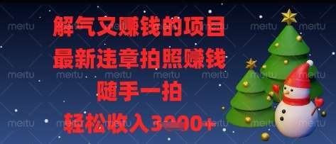 解气又挣钱的项目，最新违章拍照挣钱，随手一拍，轻松收入多张【揭秘】-云商网创