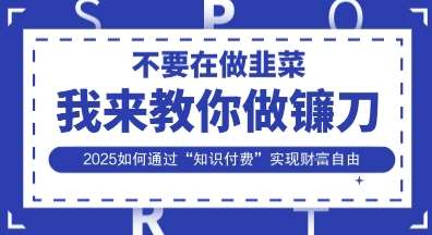韭菜生涯终结者，我来教你做镰刀，2025如何通过“知识付费”实现财F自由【揭秘】-云商网创