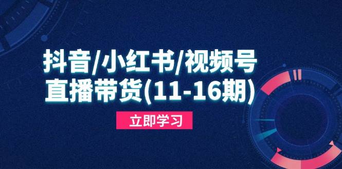 （14611期）抖音/小红书/视频号/直播带货(11-16期)，快速掌握平台规则，打造爆款内容-云商网创