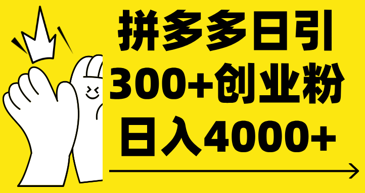 拼多多日引300+创业粉 日入4000+-云商网创