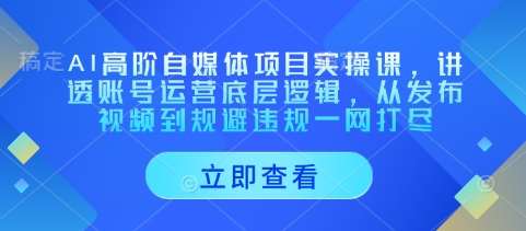 AI高阶自媒体项目实操课，讲透账号运营底层逻辑，从发布视频到规避违规一网打尽-云商网创