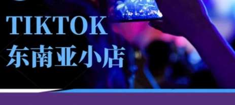 Tiktok东南亚跨境小店运营班，一门专业的TK小店运营培训课-云商网创