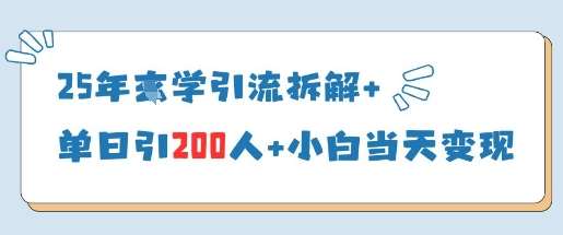 25年国学引流拆解+单日引200人+小白当天就能变现-云商网创