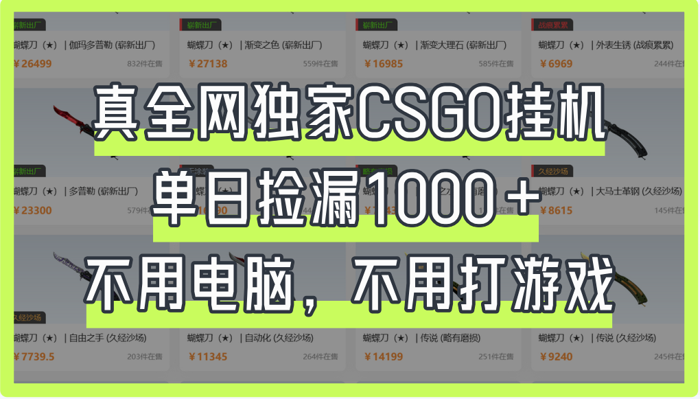 真全网独家CSGO挂机，单日捡漏1000+-云商网创