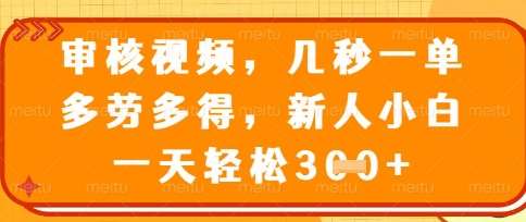 最新审核视频，几秒一单，多劳多得，新人小白一天轻松3张【揭秘】-云商网创