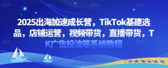 2025出海加速成长营，TikTok基建选品，店铺运营，视频带货，直播带货，TK广告投流等系统教程-云商网创