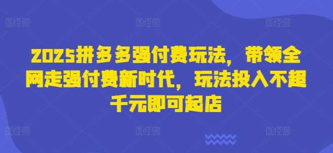 2025拼多多强付费玩法，带领全网走强付费新时代，玩法投入不超千元即可起店-云商网创