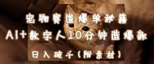 宠物赛道爆单秘籍：AI+数字人10分钟造爆款，日入1k-云商网创