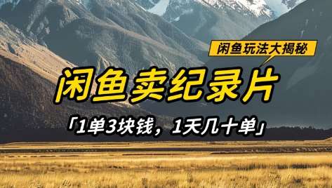 闲鱼卖纪录片1单3块钱，1天几十单，项目稳定有潜力-云商网创