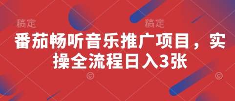番茄畅听音乐推广项目，实操全流程日入3张-云商网创