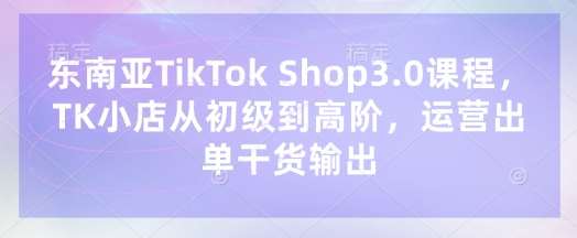 东南亚TikTok Shop3.0课程，TK小店​从初级到高阶，运营出单干货输出-云商网创