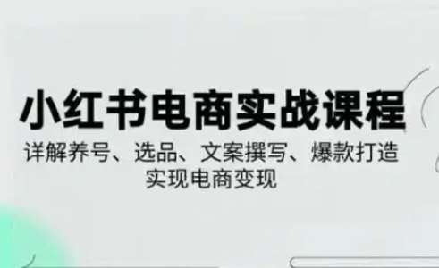 小红书从0-1实操课(2023-2025)，详解养号、选品、文案撰写、爆款打造实现电商变现-云商网创
