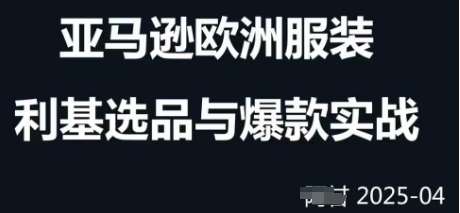 跨境电商选品案例24-25年，聚焦跨境电商选品策略与运营优化，助力卖家挖掘蓝海市场-云商网创