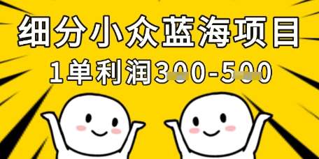 细分小众蓝海项目，一单利润3张，每月收入稳定过1w+-云商网创