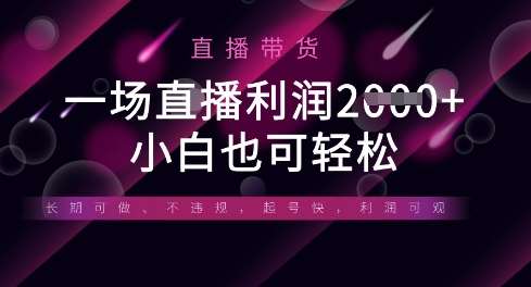 半无人直播带货，一场利润数张，适合所有平台玩法，小白也可轻松-云商网创