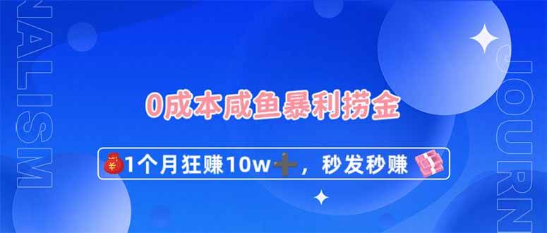 （14257期）0成本闲鱼暴利捞金，1个月狂赚10W+，秒发秒赚新玩法-云商网创