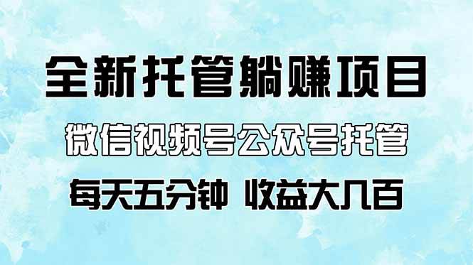 （14425期）全新托管躺赚项目，微信视频号公众号托管代运营，每天五分钟，收益大几百-云商网创