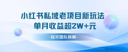 小红书私域项目新玩法，单月变现过W+-云商网创