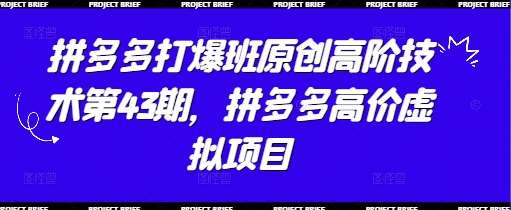 拼多多打爆班原创高阶技术第43期，拼多多高价虚拟项目-云商网创