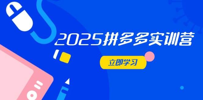 （14531期）2025拼多多实训营：深度剖析运营关键，助力电商人快速提升-云商网创