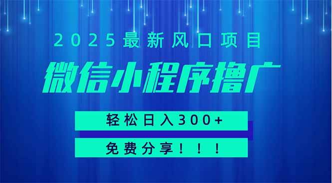 （14375期）微信小程序撸广，最新风口项目，日入300+ 免费分享 可批量操作 小白可…-云商网创