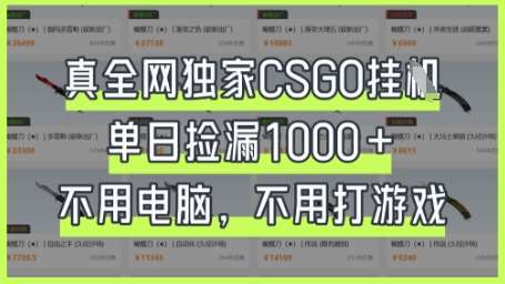 真全网独家CSGO挂G，单日捡漏1k+【揭秘】-云商网创