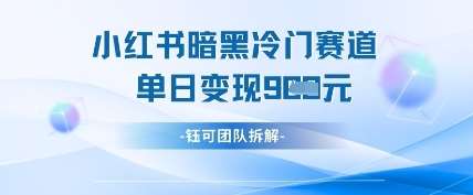 小红书冷门”暗黑”赛道，单日收益多张-云商网创