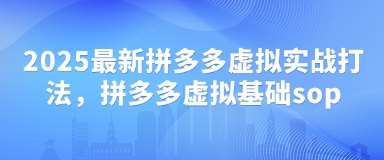 2025最新拼多多虚拟实战打法，拼多多虚拟基础sop-云商网创
