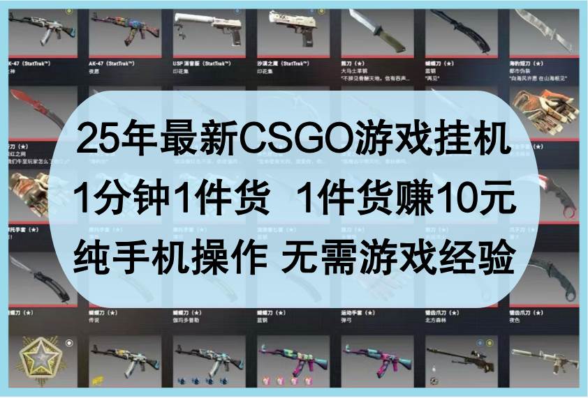 25年最新CSGO游戏挂机，1分钟1件货，1件货赚10元，纯手机操作，无需游戏经验-云商网创