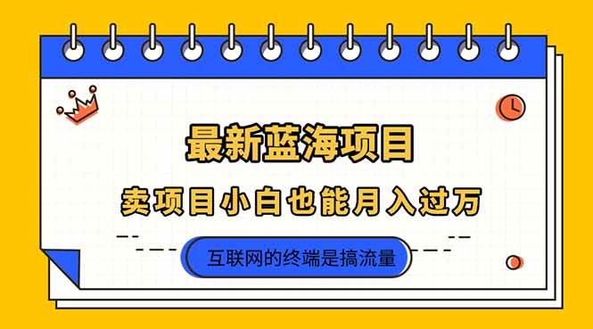 （14289期）2025年最新蓝海项目，卖项目小白也能月入过万-云商网创