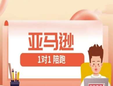 亚马逊1对1陪跑课(FBA/FBM精铺)跨境亚马逊教程-云商网创