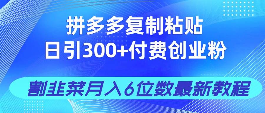 （14232期）拼多多复制粘贴日引300+付费创业粉，割韭菜月入6位数最新教程！-云商网创