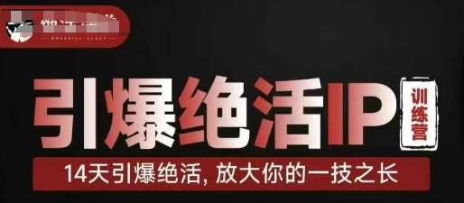 引爆绝活IP训练营，14天引爆绝活，放大你的一技之长-云商网创