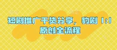 短剧推广干货分享，豹剧 1:1原创全流程-云商网创