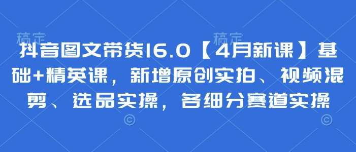 抖音图文带货16.0【4月新课】基础+精英课，新增原创实拍、视频混剪、选品实操，各细分赛道实操-云商网创