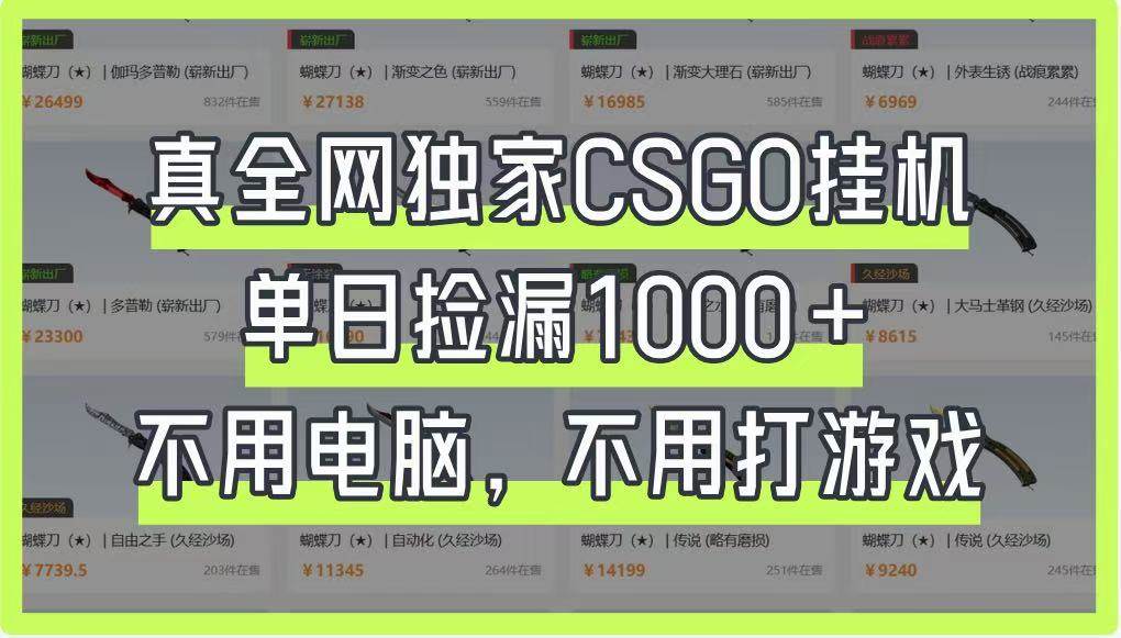 真全网独家CSGO挂机，单日捡漏1000+，不用电脑，不用养号-云商网创