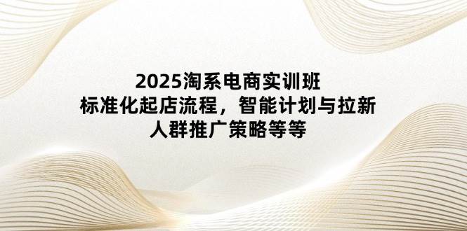 （14522期）2025淘系电商实训班：标准化起店流程，智能计划与拉新，人群推广策略等等-云商网创