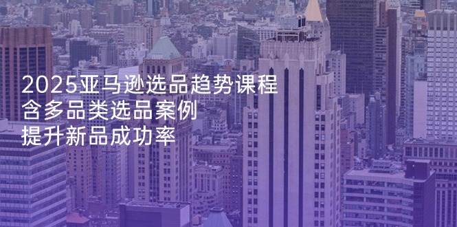 （14434期）2025亚马逊选品趋势课程，含多品类选品案例，提升新品成功率-云商网创