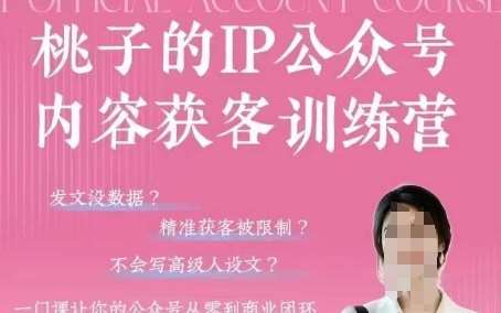 桃子IP公众号内容获客训练营(第3期)，一门让你公众号从0到商业闭环的课程-云商网创