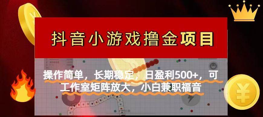 （14290期）【抖音小游戏发行人计划项目】操作简单，长期稳定，日盈利500+，可工作…-云商网创