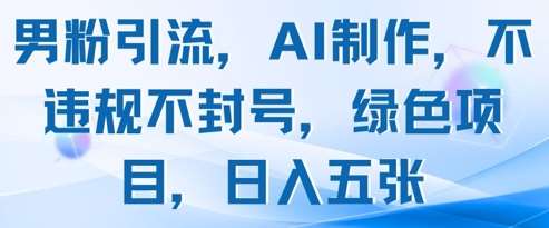 男粉引流，AI制作，不违规不封号，绿色项目，日入五张-云商网创