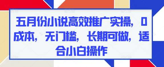 五月份小说高效推广实操，0成本，无门槛，长期可做，适合小白操作-云商网创