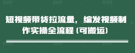 短视频带货拉流量，编发视频制作实操全流程(可搬运)-云商网创