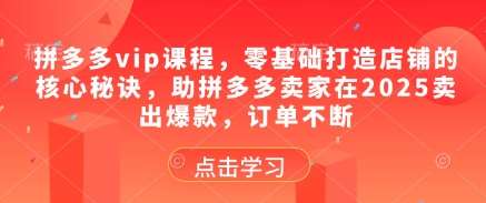 拼多多vip课程，零基础打造店铺的核心秘诀，助拼多多卖家在2025卖出爆款，订单不断-云商网创